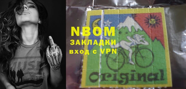 гашик Верея