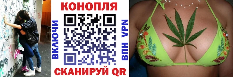 что такое наркотик  Заводоуковск  Конопля ГИДРОПОН 